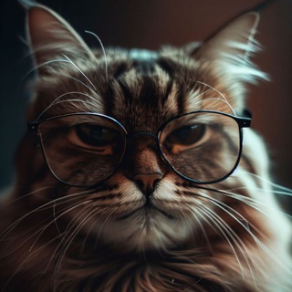 Telegram profile photo for Крипто Боярин