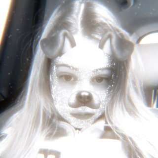 Telegram profile photo for Nikabotka