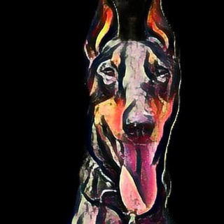 Telegram group profile photo for MG Show QDrops
