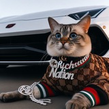 Telegram profile photo for Genesis NFT