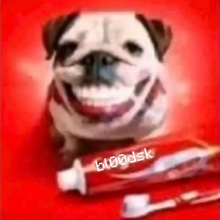 Telegram profile photo for 𝚋𝚕𝙾𝙾𝚍 • StandKnife