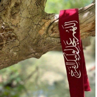 Telegram profile photo for حب آل البيت