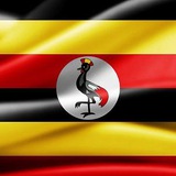 Telegram profile photo for UGANDA NEWS FEEDS