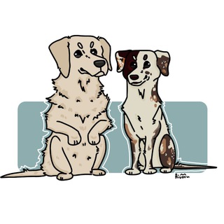 Telegram profile photo for конкурсы на премиум/звёзды