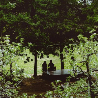 Telegram profile photo for till death do us part