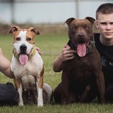 Telegram profile photo for Витта, Браун и Юра