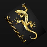 Telegram profile photo for Нетворкинг Клуб “SalamandrA”