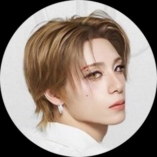 Telegram profile photo for мир тостера