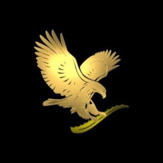 Telegram profile photo for مهدی پارسافر ¦ Mahdi Parsafar