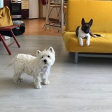 Telegram profile photo for Клео и Рик на каждый день