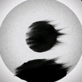 Telegram profile photo for لمنع اندثار الحياء