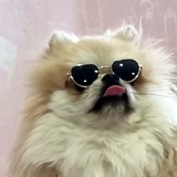 Telegram profile photo for JUST HUMMER