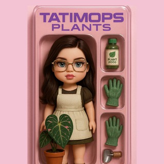 Telegram profile photo for Tatimops Plants | Комнатные растения ( антуриум, алоказия , бегония , сингониум )