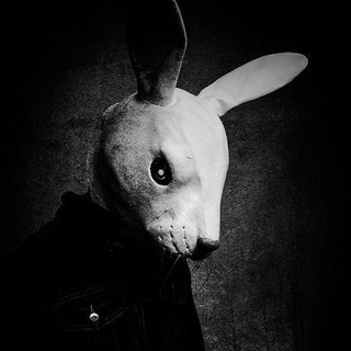 Telegram profile photo for Ask The Wabbit