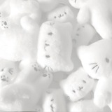 Telegram profile photo for Иви (੭´͈ ᐜ `͈)੭_°•*💿°*.·