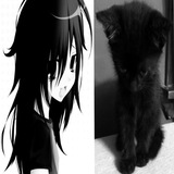 Telegram profile photo for tgk: примеры