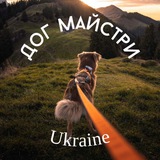 Telegram profile photo for Дог майстри Ukraine