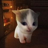 Telegram profile photo for АРХИВ Nise