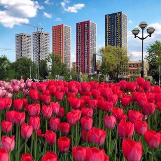 Telegram profile photo for ЖК ТЕТРИС собственники