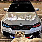 Telegram profile photo for Atro