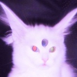 Telegram profile photo for рисую на заказ :з