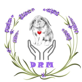 Telegram profile photo for DarlingRabbitsMafia