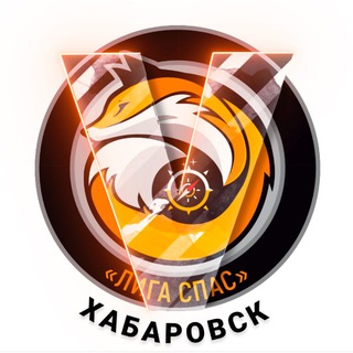 Telegram group profile photo for Лига Спас. Помощь нашим.
