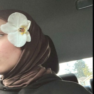 Telegram profile photo for - ᷂حَـوريةه وَ لحَظاتِها .