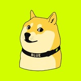 Telegram profile photo for therobinhooddoge