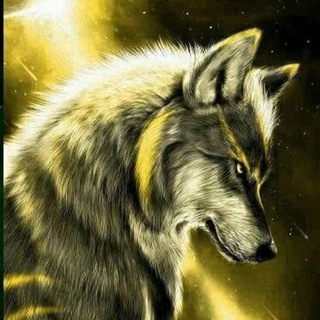 Telegram group profile photo for New wolf