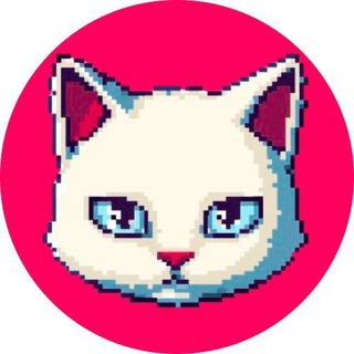 Telegram profile photo for TAPCAT BOT