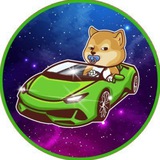 Telegram profile photo for Babylamboinu