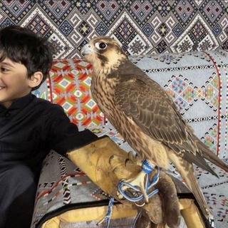 Telegram profile photo for شِينٰ
