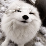 Telegram profile photo for (День вп с 1+ пдп ) Художник Сиэль || официальный || новости Сиэль||