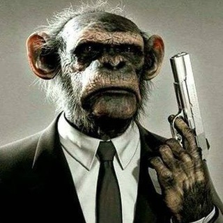 Telegram profile photo for Z-Road
