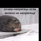 Telegram profile photo for Миха4