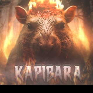 Telegram profile photo for КАПИБАРА PROMO🍒