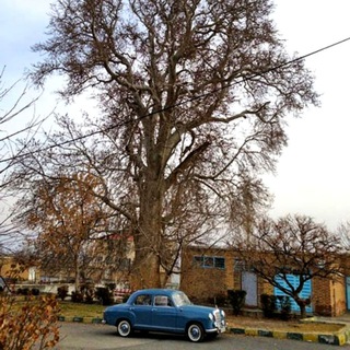 Telegram profile photo for کانال مردمی خامنه
