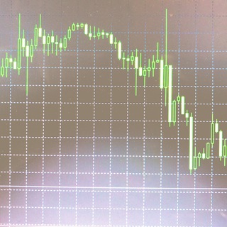 Telegram profile photo for Forex Signals