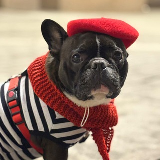 Telegram profile photo for Бароша-скейтер❤️