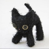 Telegram profile photo for TOI Cat
