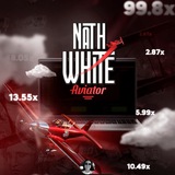 Telegram profile photo for ✈️ NATHWHITE |OFICIAL| AVIATOR FREE ✈️