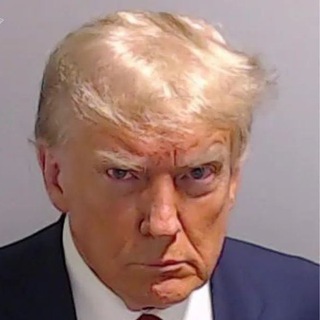 Telegram profile photo for TRUMP TAROT | Portal