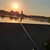 Telegram profile photo for World fish
