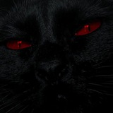 Telegram profile photo for narc†sus666🩸
