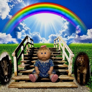 Telegram profile photo for swageekid