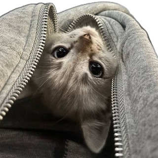 Telegram profile photo for reviews