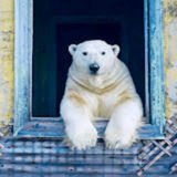 Telegram profile photo for 凌晨十二点