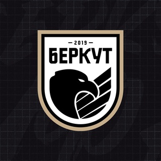 Telegram profile photo for ФК «Беркут-Уфа»