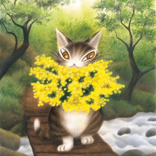 Telegram profile photo for Причины чтобы отчислиться